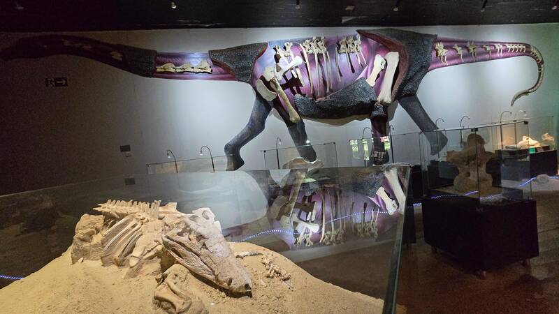 Imagem Museu Dinossauros Crocodilo Dinossauro