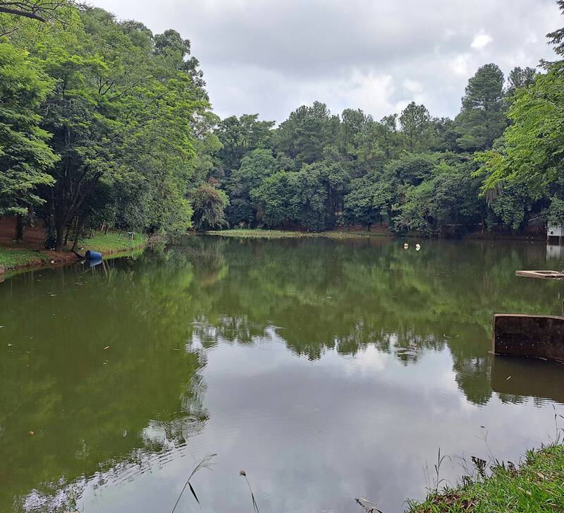Bosque Manoel Jorge, Nova Odessa (SP)