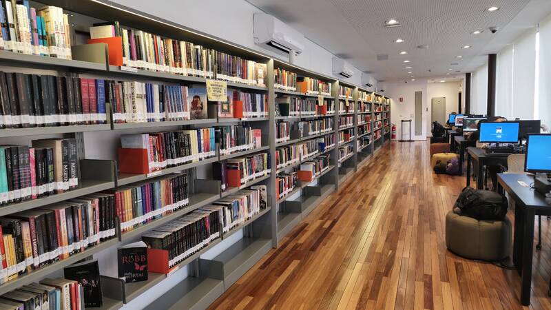 Biblioteca Sinhá Junqueira - Acesso aos Livros, Ribeirão Preto (SP)